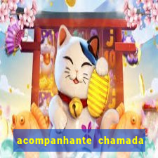 acompanhante chamada de video